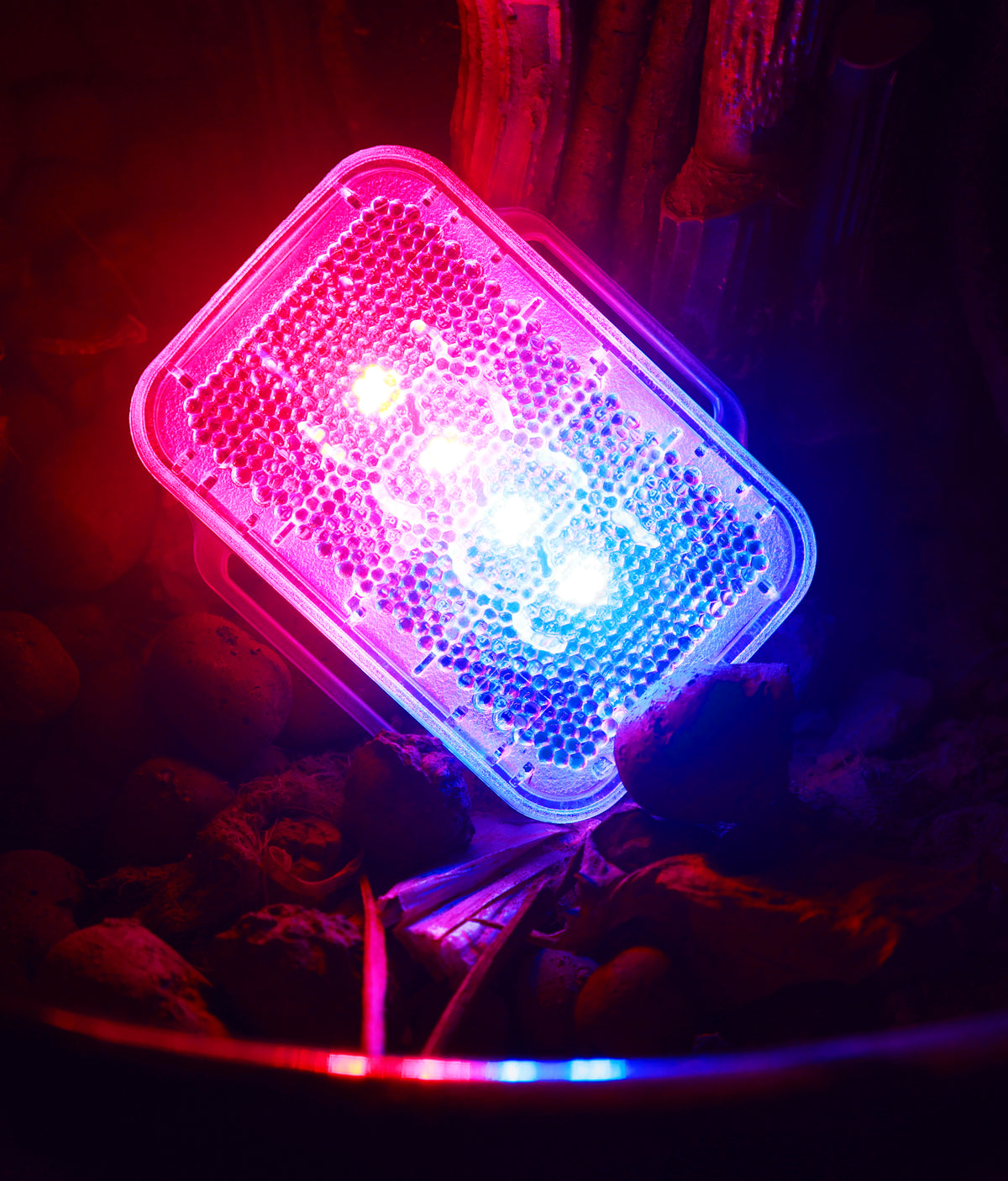 Wisdom Pharos 7 Duplex MSHA-Approved LED Safety Strobe
